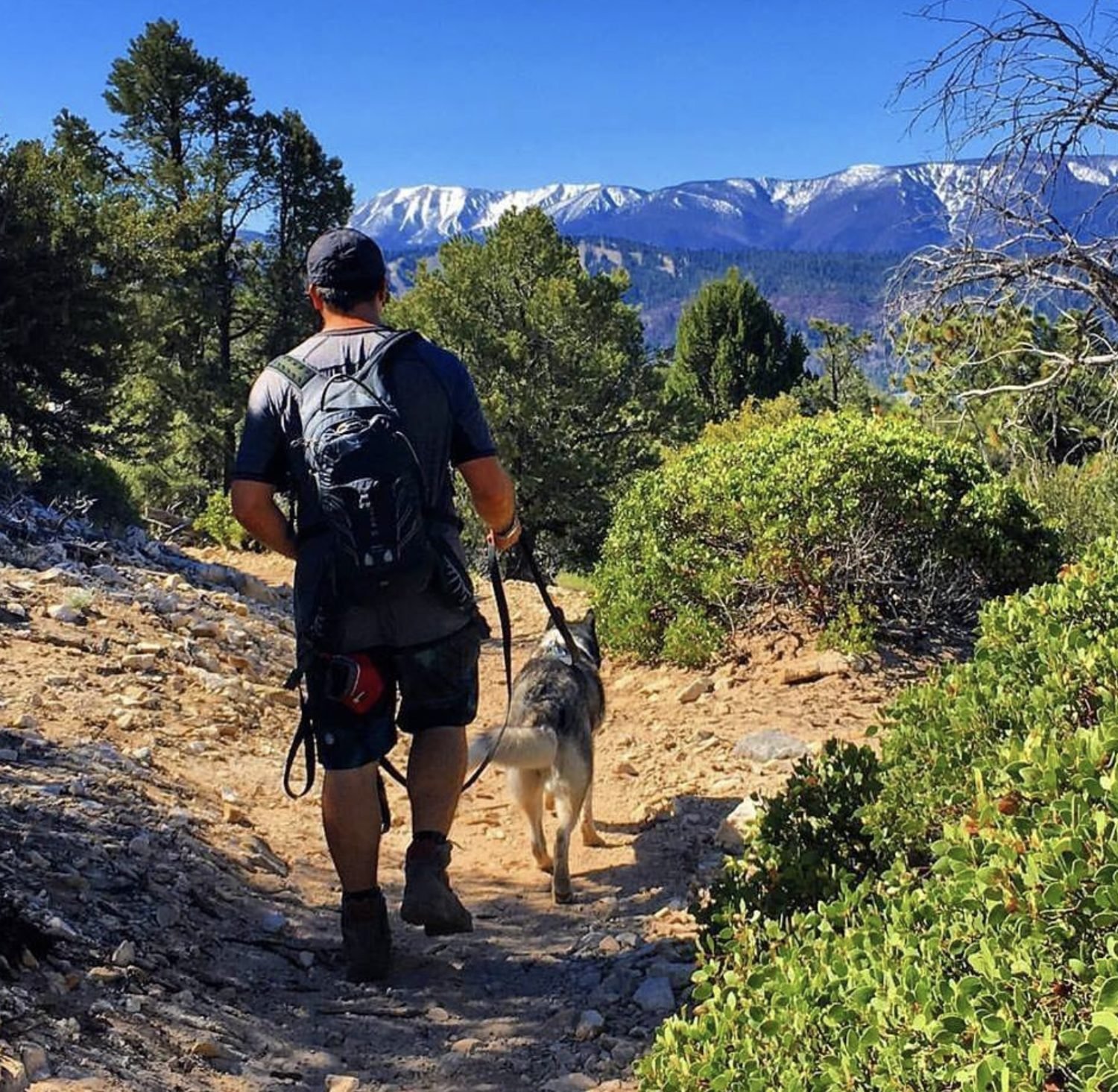 Hiking a mountain trail with a dog